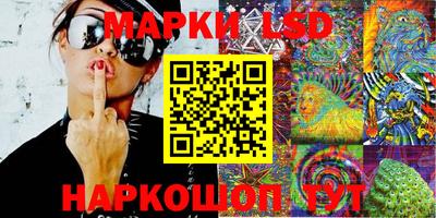 PSILOCYBIN Будённовск