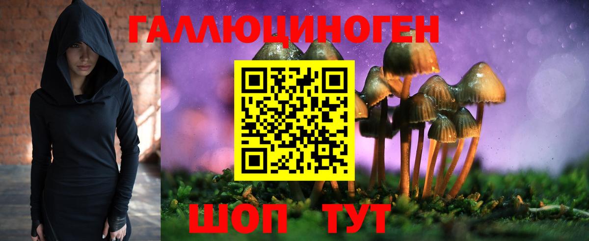 Псилоцибиновые грибы Psilocybine cubensis  Вход с VPN  Галлюциногенные грибы мицелий  Бахчисарай 