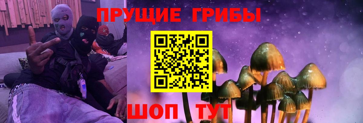 Псилоцибиновые грибы Cubensis Бахчисарай
